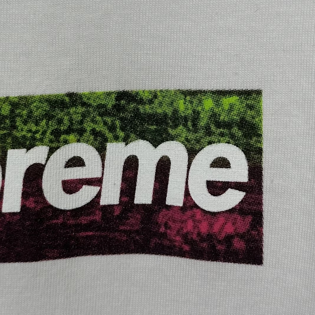 778883eebb3c8528dd7c888fd96c321f_1744872376_5238.jpg
