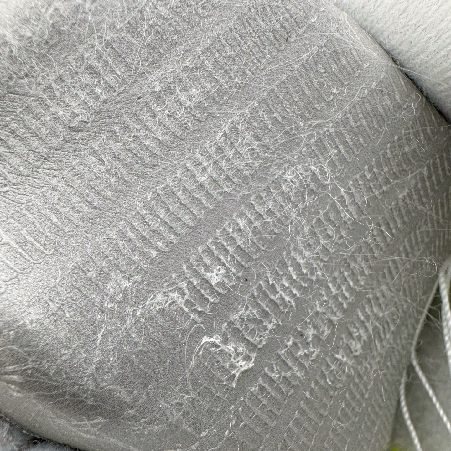 5c7cd935816be26e497af4b321462edc_1765436640_0765.jpg 5c7cd935816be26e497af4b321462edc_1765436640_0765.jpg