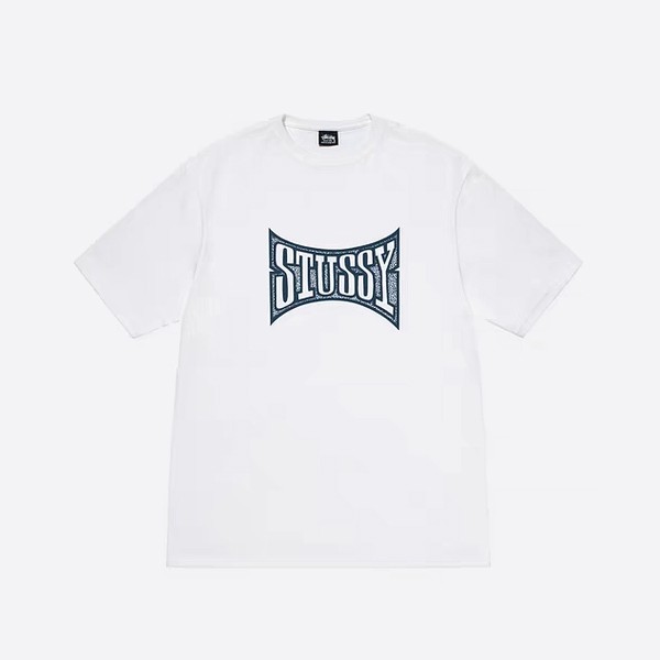 ステューシー チャンピオン Tシャツ ホワイト