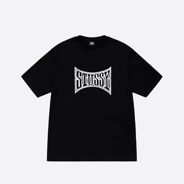 ステューシー チャンピオン Tシャツ ブラック