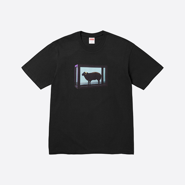 シュプリーム ダニエル ヒット Tシャツ ブラック