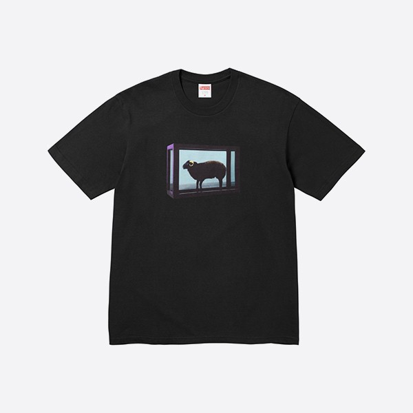 シュプリーム ダニエル ヒット Tシャツ ブラック