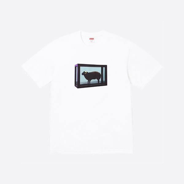 シュプリーム ダニエル ヒット Tシャツ ホワイト