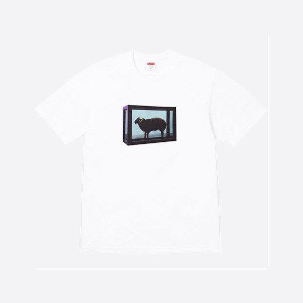 シュプリーム ダニエル ヒット Tシャツ ホワイト