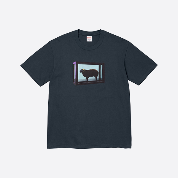 シュプリーム ダニエル ヒット Tシャツ ネイビー
