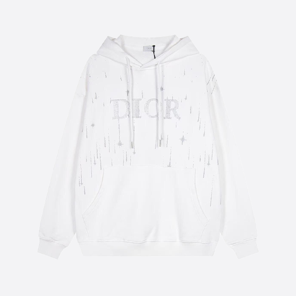 ディオールのシューティングスター刺繍入りレタリングフード付きスウェットシャツ