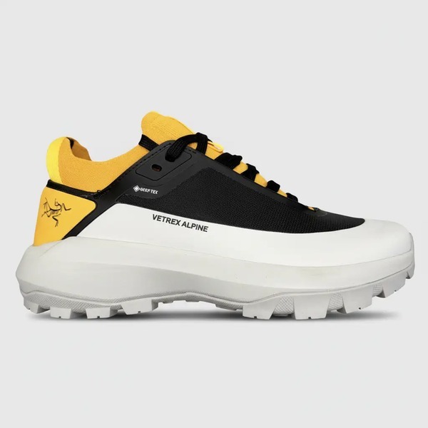 アークテリクス Vertex Alpine GTX