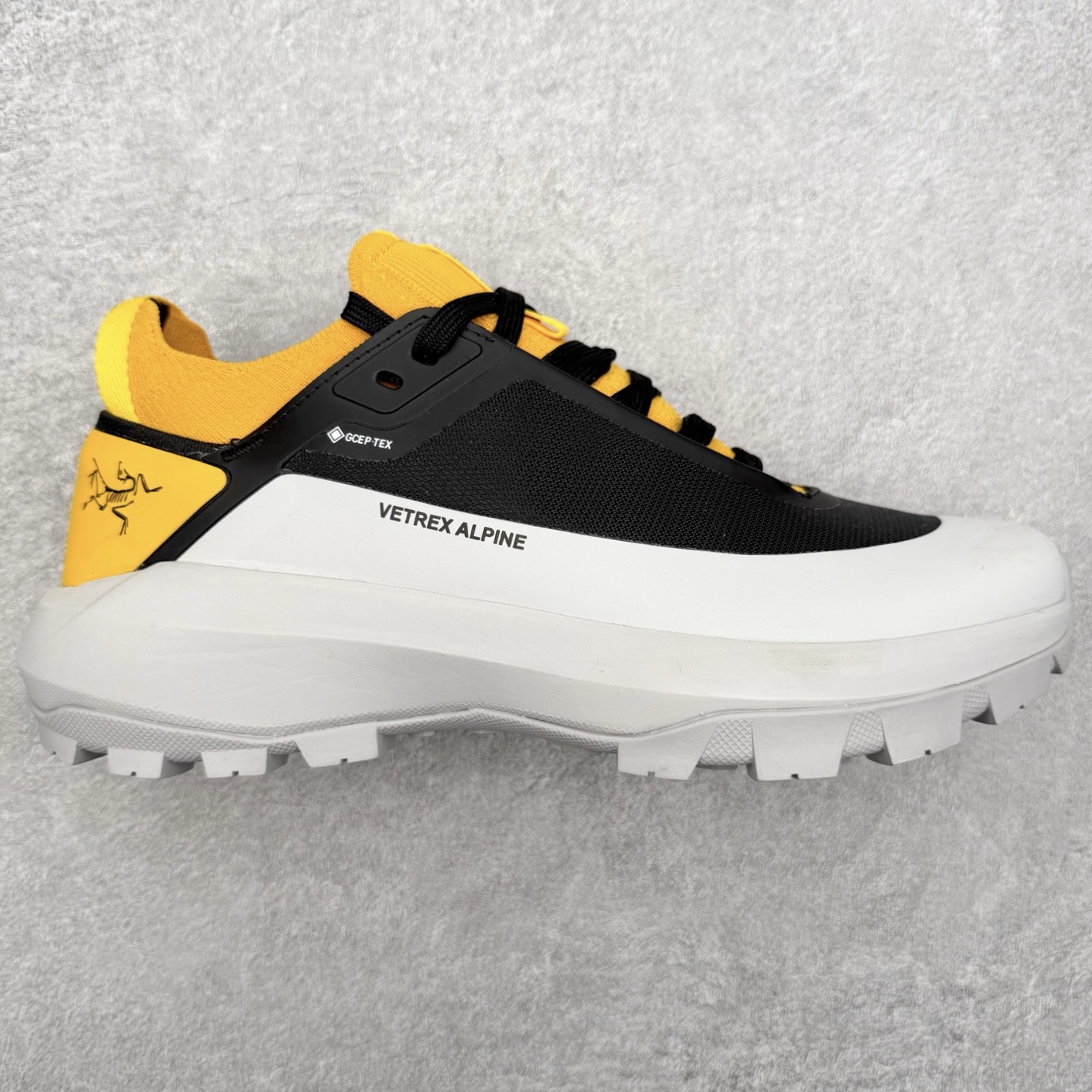 アークテリクス Vertex Alpine GTX 詳細画像 1