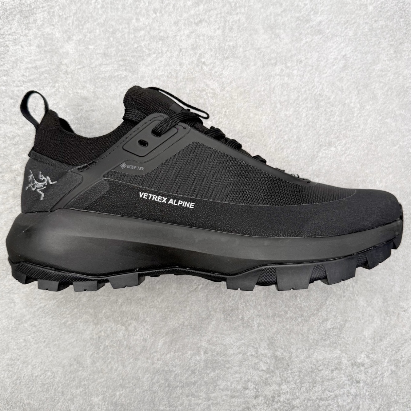 アークテリクス Vertex Alpine GTX 詳細画像 1