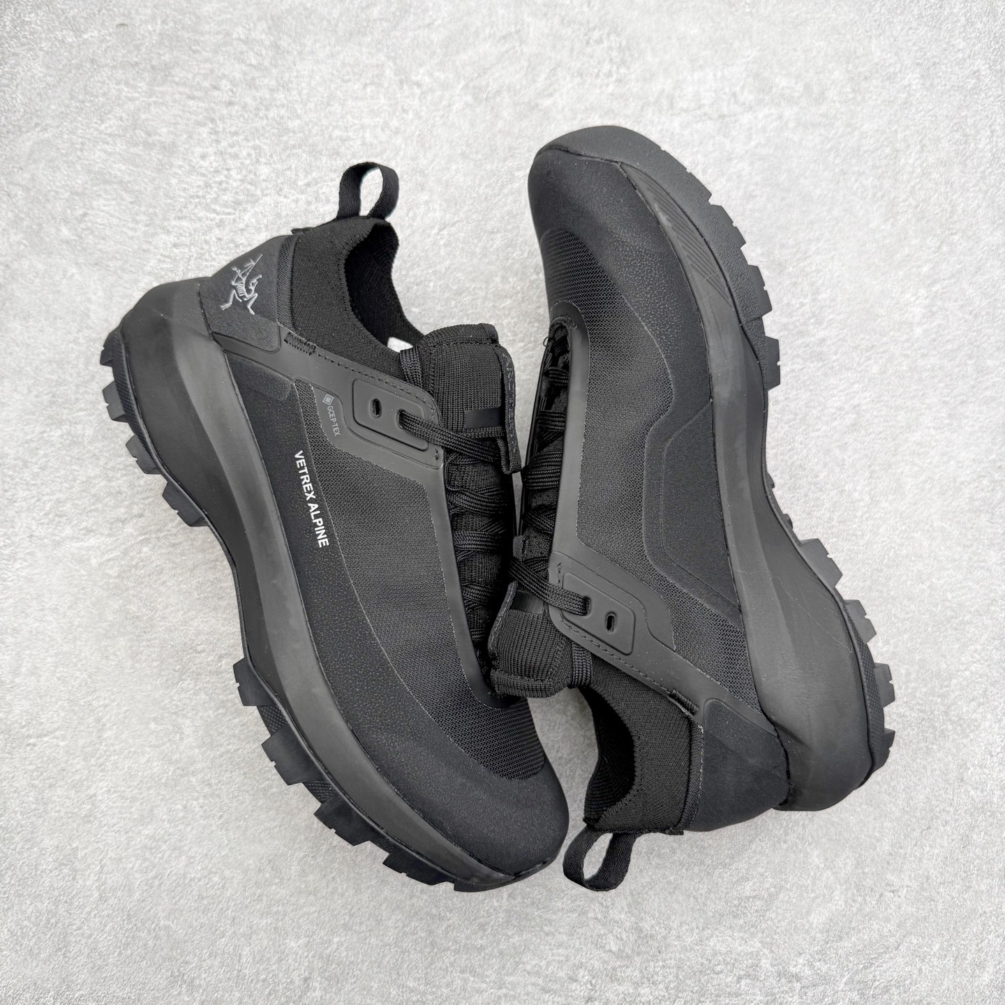 アークテリクス Vertex Alpine GTX 詳細画像 3