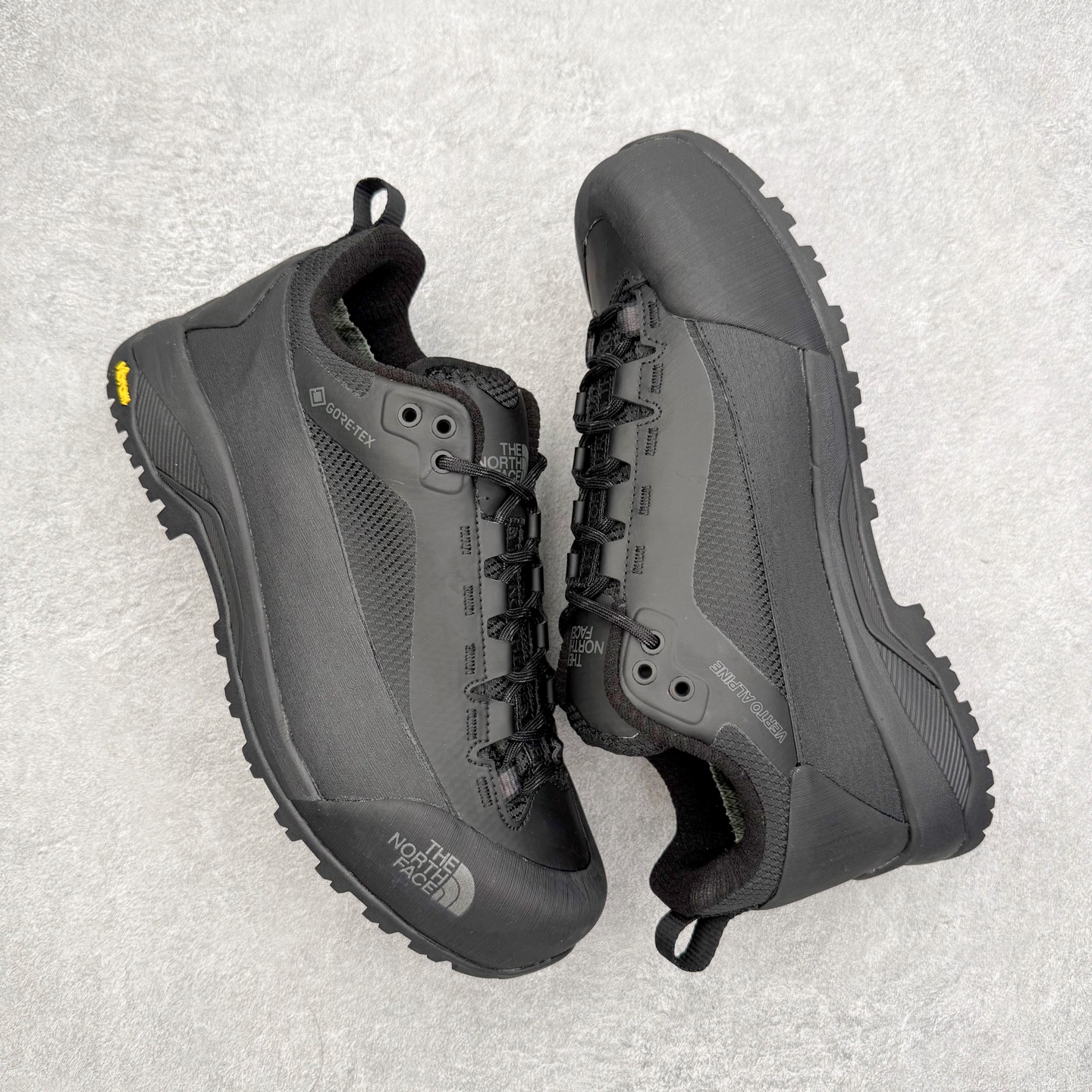 ザ ノース フェイス Verto Alpine GORE-TEX 詳細画像 3