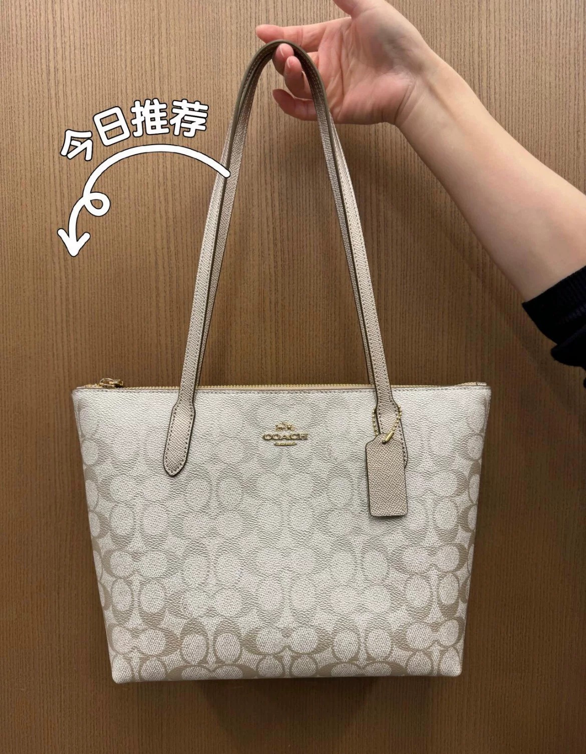 コーチ シグネチャー ジップトートショルダーバッグ ブロンズ 詳細画像 1