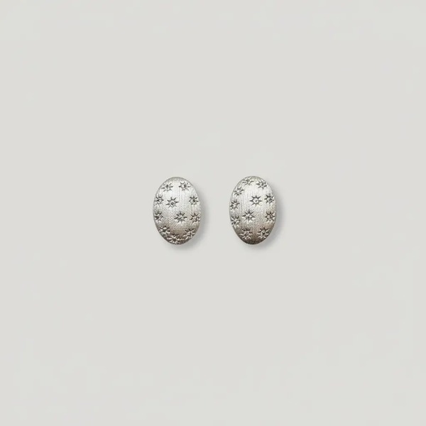 スター ダイヤ ブラッシュ加工 スターリングシルバー ピアス プラチナ A6618