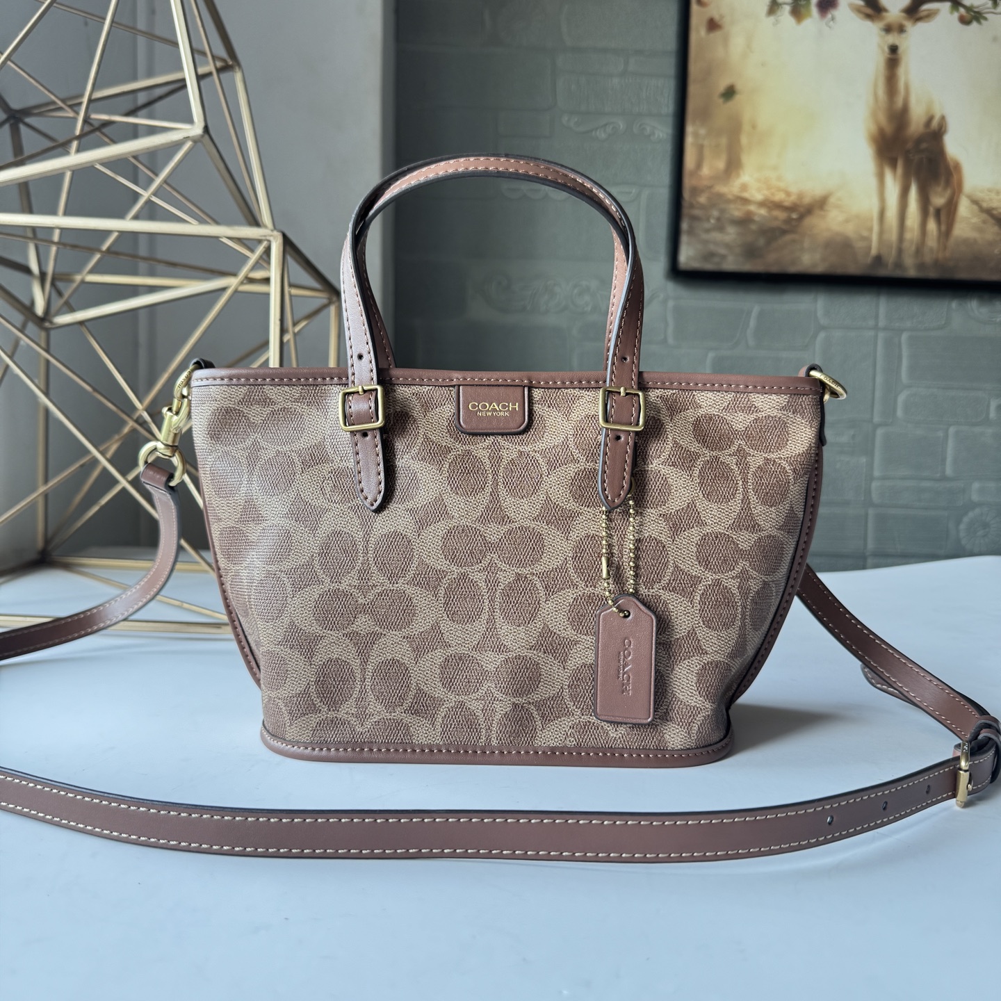コーチ Taxi Tote 21 CCD94 シグネチャー カーキブラウン 詳細画像 2
