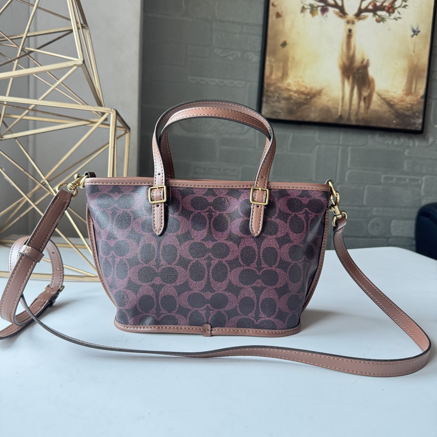 コーチ Taxi Tote 21 CCD94 シグネチャー バーガンディブラウン 詳細画像 3