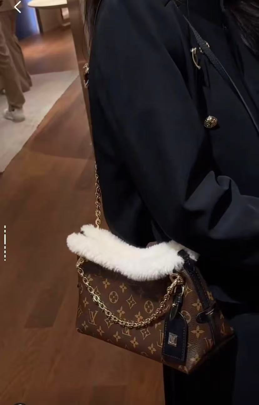 ルイ・ヴィトン CarryAll BB モノグラム ブラウン M26568 詳細画像 2