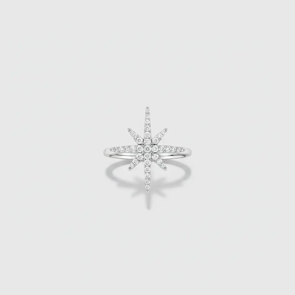 アーペーエム モナコ メテオシリーズ 八芒星 フルストーン シルバー925 リング プラチナカラー A7117
