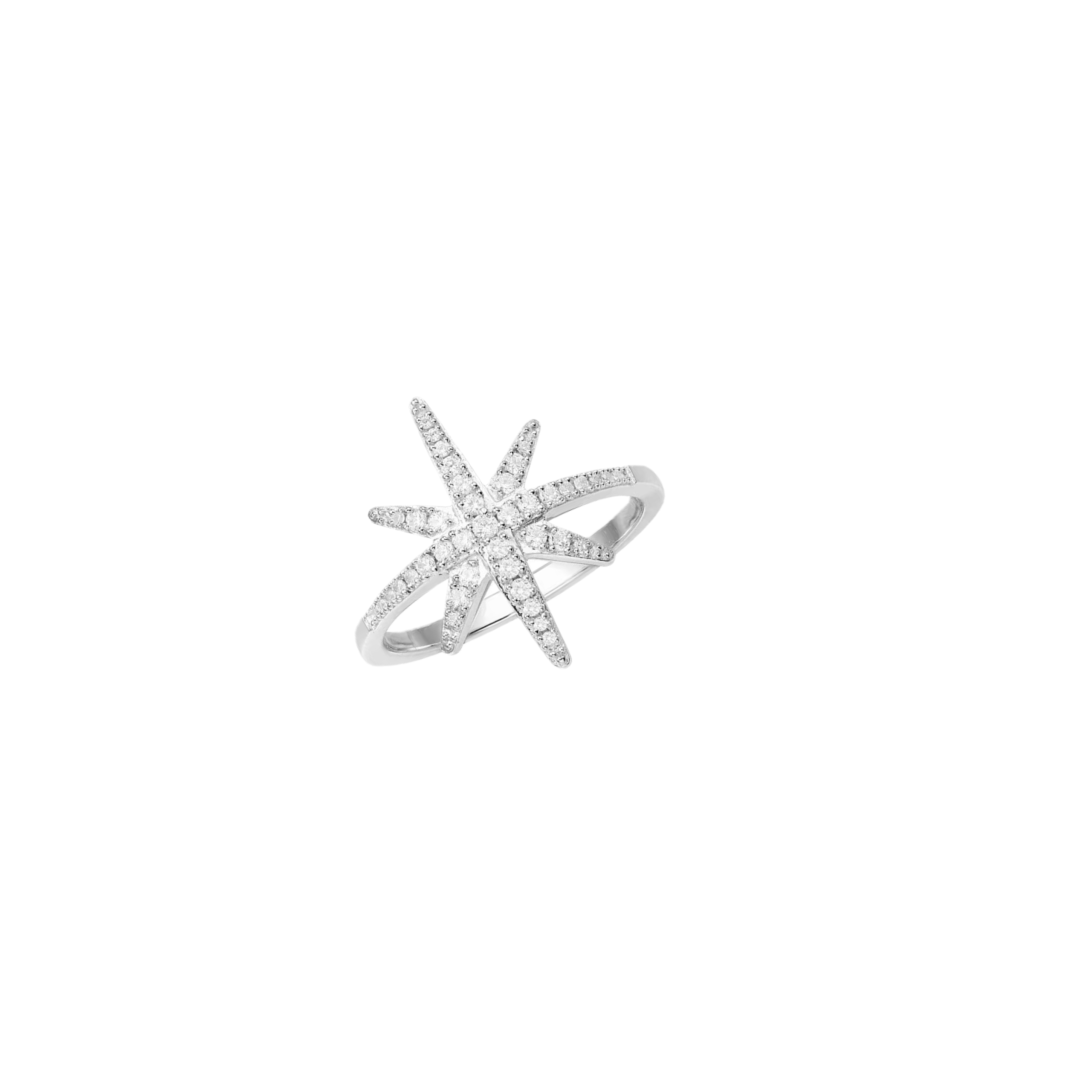 アーペーエム モナコ メテオシリーズ 八芒星 フルストーン シルバー925 リング プラチナカラー A7117 詳細画像 2