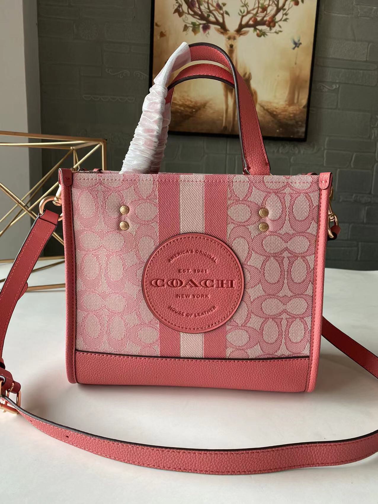 コーチ Dempsey Field Tote 22 ミニキャンバストートバッグ ピンク C8417 詳細画像 1