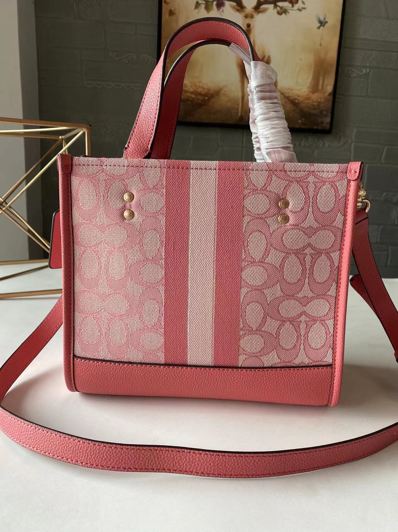 コーチ Dempsey Field Tote 22 ミニキャンバストートバッグ ピンク C8417 詳細画像 2
