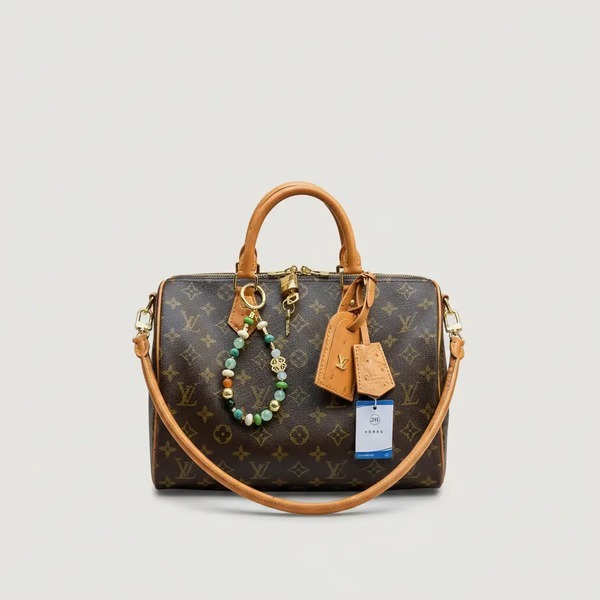 ルイ・ヴィトン Speedy Soft 30 Boho