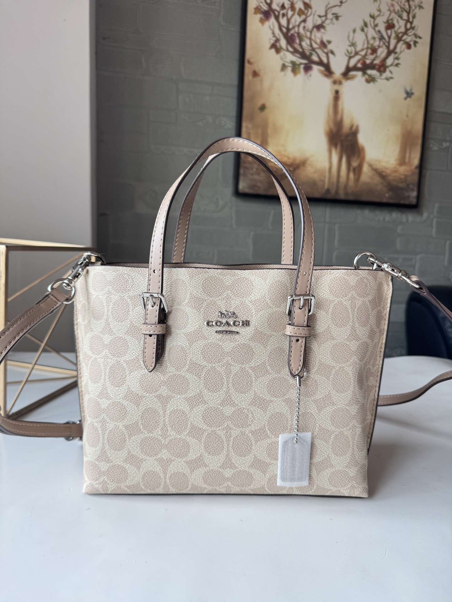 コーチ Mollie Tote 25 スモール PVC トートバッグ アプリコット CV965 詳細画像 1