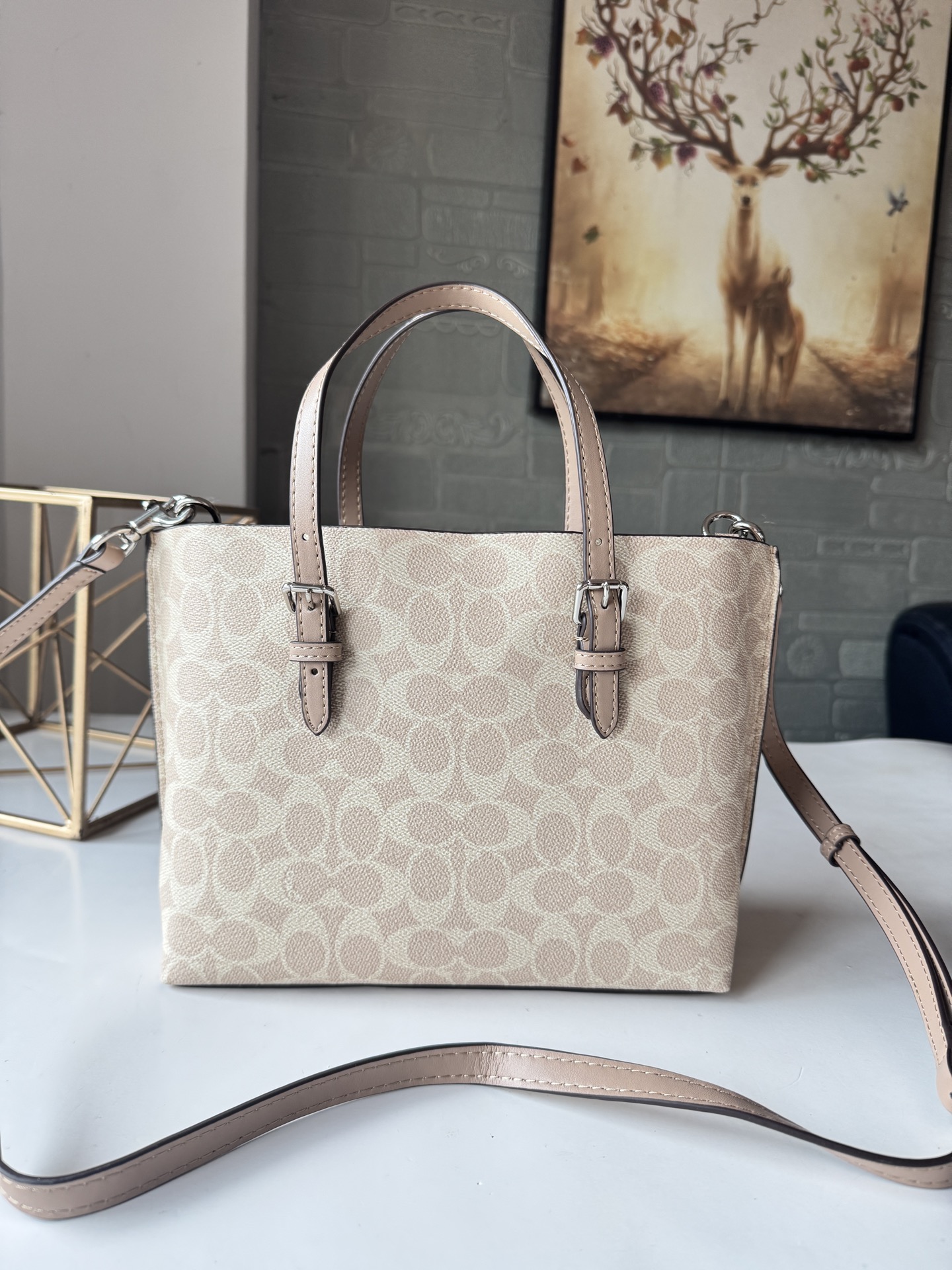 コーチ Mollie Tote 25 スモール PVC トートバッグ アプリコット CV965 詳細画像 2